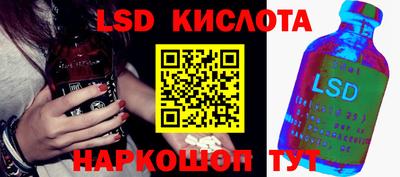 эйфоретик Гай