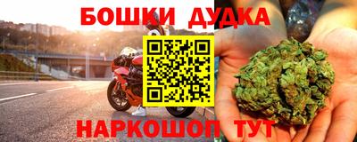 эйфоретик Гай