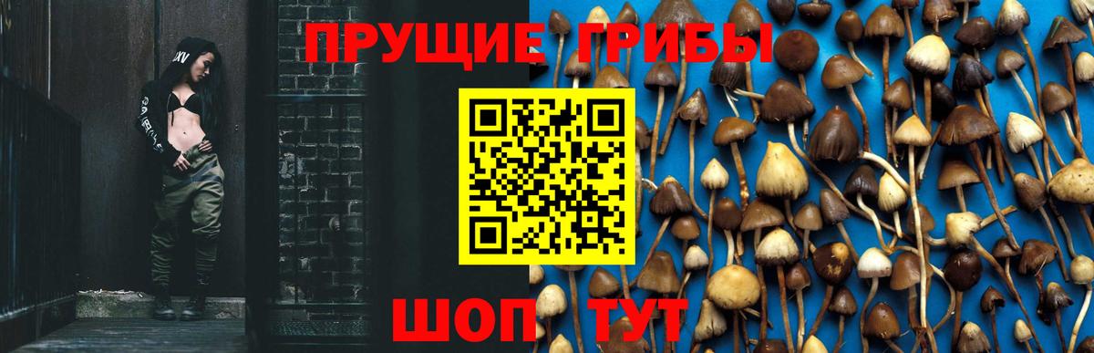 Псилоцибиновые грибы ЛСД  Вход с VPN  Красногорск 